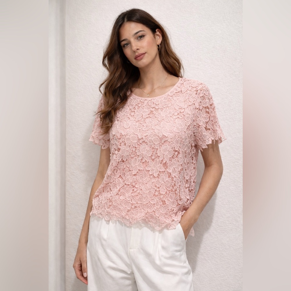 Philosophy Blush Lace Blouse